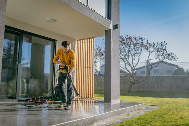 Best Solar Panel Cleaning  in St Michaels, MD